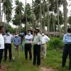 Inspection of  organic fertilizer production projects